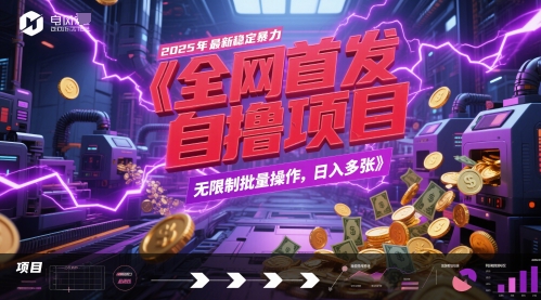 全网首发，2025年最新稳定暴力全自动自撸项目，无限制批量操作，日入多张【揭秘】-LH资源分享网