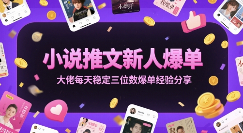 小说推文新人爆单大佬每天稳定三位数爆单经验分享-LH资源分享网