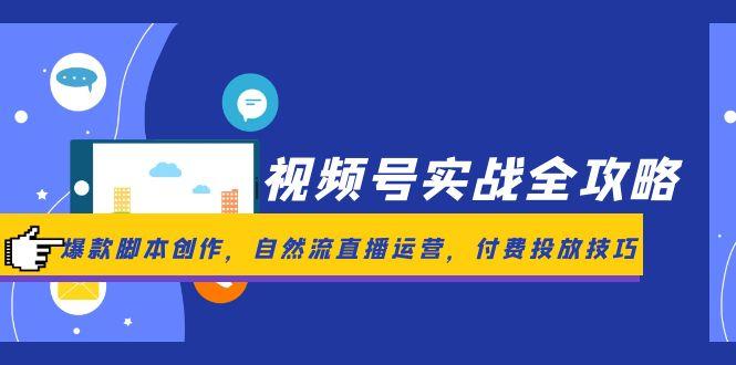视频号实战全攻略，爆款脚本创作，自然流直播运营，付费投放技巧-LH资源分享网