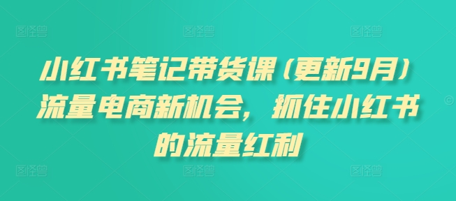 小红书笔记带货课(更新25年5月)流量电商新机会，抓住小红书的流量红利-LH资源分享网