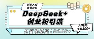 DeepSeek+创业粉精准引流，全新分享课4.0玩法，AI矩阵日引300+，多种变现方式，稳定月入1W-LH资源分享网
