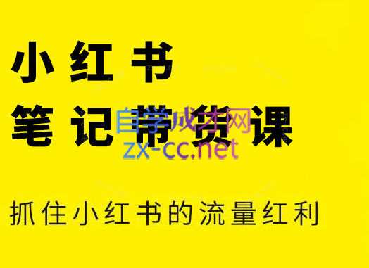 张宾·小红书笔记带货课(更新5月)-LH资源分享网
