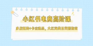 小红书电商高阶课，多店矩阵+卡位选品，大红海类目突围指南(更新5月)-LH资源分享网