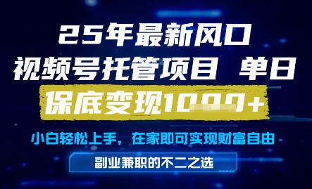 25年最新风口，视频号托管项目，单日保底变现1k+，手把手教学【揭秘】-LH资源分享网