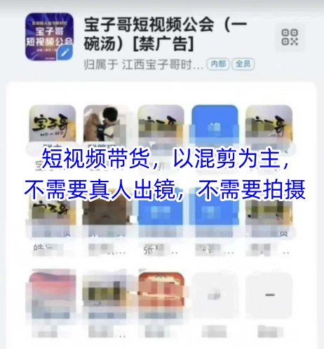 宝子哥头部团队短视频带货，以混剪为主，不需要真人出镜，不需要拍摄【更新】-LH资源分享网