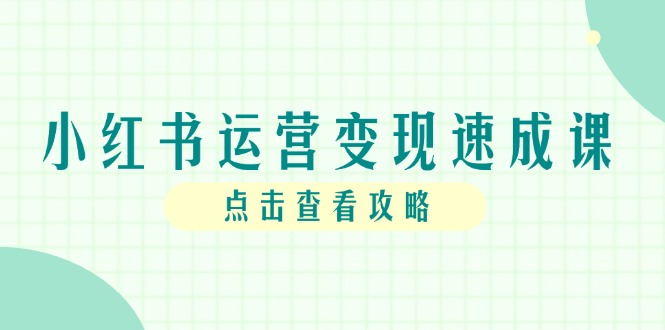 小红书运营变现速成课，账号搭建到暴力起号，个人IP全流程指南-LH资源分享网