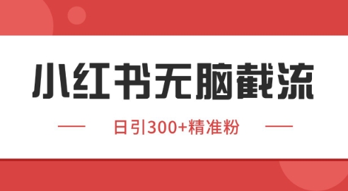 小红书截流同行客源，独家野路子获客玩法 日引200+暴力获客【揭秘】-LH资源分享网