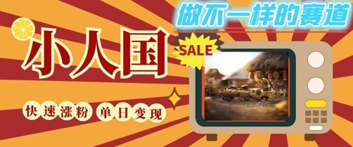 DeepSeek+绘图+视频制作小人国微观视频，小白轻轻松松上手，条条爆款，条条变现，单日就能收益-LH资源分享网