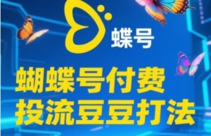 2025蝴蝶号付费投流豆豆打法，助新手快速掌握付费流量撬动自然流的核心玩法-LH资源分享网