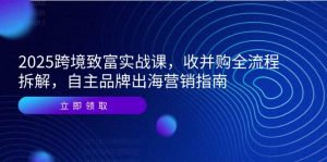 2025跨境致富实战课，收并购全流程拆解，自主品牌出海营销指南-LH资源分享网