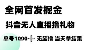 全网首发掘金抖音无人直播撸礼物，单号1k +无脑撸，当天拿结果【揭秘】-LH资源分享网