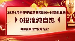 25年6月拼多多最新日引300+付费创业粉，0投流纯自热 卖课月变现六位数方法-LH资源分享网