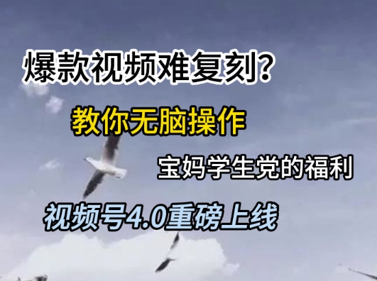 视频号4.0重磅上线，爆款视频难复刻？教你无脑操作宝妈学生党的福利【揭秘】-LH资源分享网