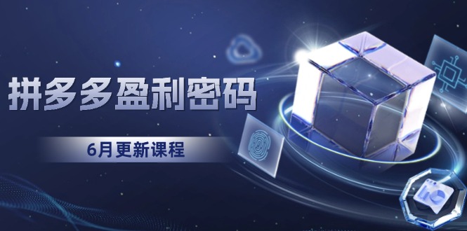 拼多多盈利密码：从烧钱推广到印钞模型，底层逻辑重构指南(6月更新-LH资源分享网