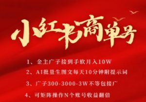 小红书商单号，AI轻松制作PLOG图文，商单接到手软3张-3k一条，每天轻松十分钟，矩阵n个账号，月入几个W-LH资源分享网
