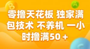 零撸天花板,独家满包技术 不养机 一小时撸满50+【揭秘】-LH资源分享网