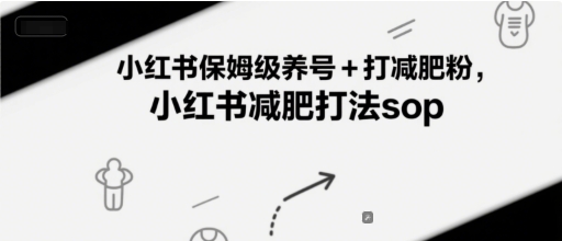 小红书保姆级养号+打减肥粉，小红书减肥打法sop-LH资源分享网
