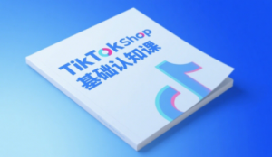 梨子姐姐·TikTok小店基础认知课-LH资源分享网