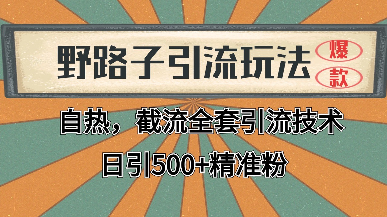 2024首发野路子引流玩法截流自热全平台打法，全自动引流【日引2000+精准客户】-LH资源分享网