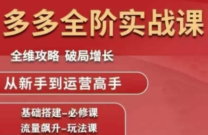 拼多多全阶实战课程，全维攻略，破局增长，从新手到运营高手-LH资源分享网