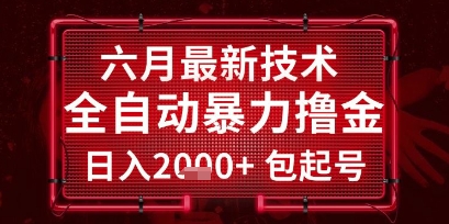六月最新技术全自动暴力撸金，稳定日入2k+包起号，长期稳定【揭秘】-LH资源分享网