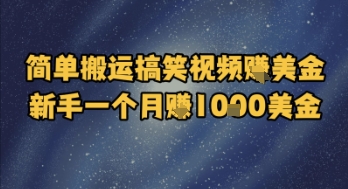 简单搬运搞笑视频挣美金，新手一个月入1k美金-LH资源分享网
