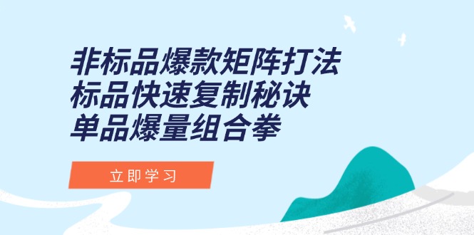 非标品爆款矩阵打法，标品快速复制秘诀，单品爆量组合拳-LH资源分享网
