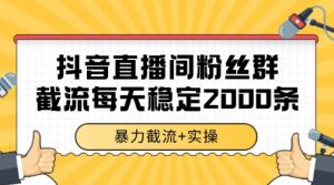 抖音直播间粉丝群暴力截流，一台电脑每天稳定2000条数据【揭秘】-LH资源分享网