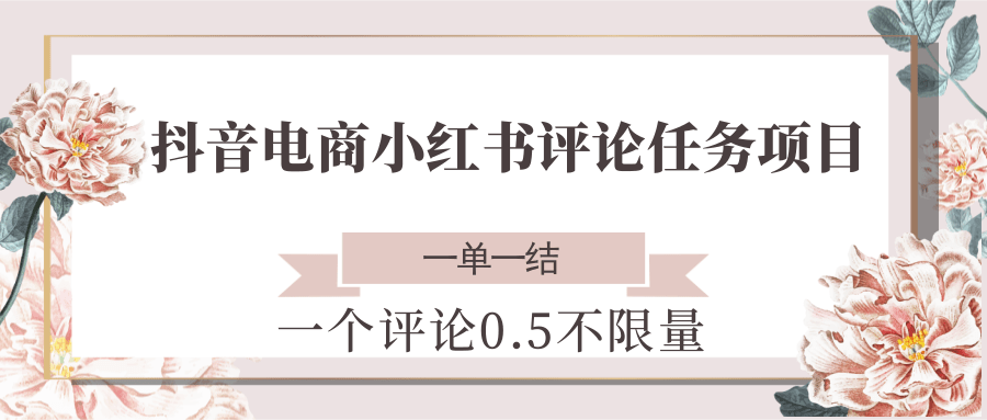 抖音电商小红书评论任务项目，一个评论0.5，一单一结 不限量-LH资源分享网