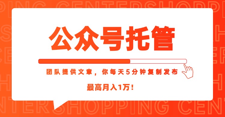 【公众号托管 】我提供文章，你每天５分钟复制发布，最高月入1W-LH资源分享网