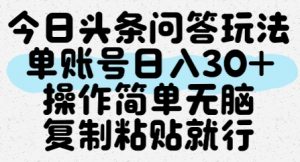 今日头条问答玩法，单账号日入30+，操作简单无脑复制粘贴就行-LH资源分享网