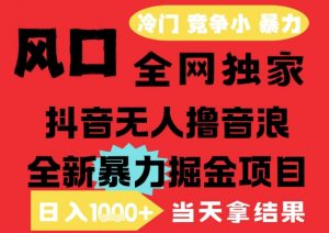 25年6月高爆抖音无人直播最新撸音浪掘金项目，解放双手小白可做，无脑日入1k+，门槛低【揭秘】-LH资源分享网