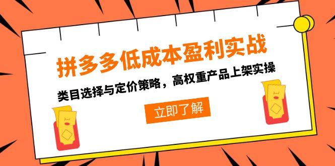 拼多多低成本盈利实战，类目选择与定价策略，高权重产品上架实操-LH资源分享网