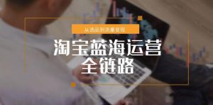 淘宝蓝海运营全链路，从选品到流量变现，小类目突围完整方案-LH资源分享网