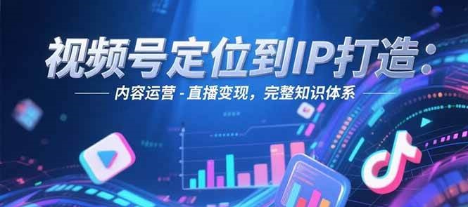 视频号定位到IP打造：账号搭建-内容运营-直播变现，完整知识体系-LH资源分享网