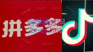 老陶电商·拼多多+抖音小店无货源开店(更新6月)-LH资源分享网