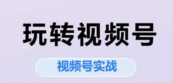 玩转视频号，视频号实战系列课-LH资源分享网