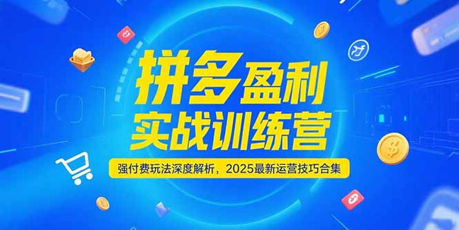 拼多多盈利实战训练营，强付费玩法深度解析，2025运营技巧合集-更新6月-LH资源分享网