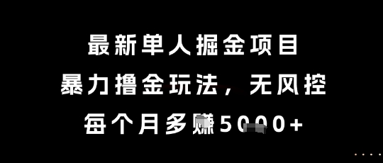 最新单人掘金项目，暴力撸金玩法，无风控，每个月多挣5k+【揭秘】-LH资源分享网