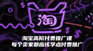 淘宝高阶付费推广课，每个卖家都应该学点付费推广-LH资源分享网