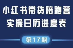 盗坤·抖音小红书视频号短视频带货与直播变现(11-17期)-LH资源分享网
