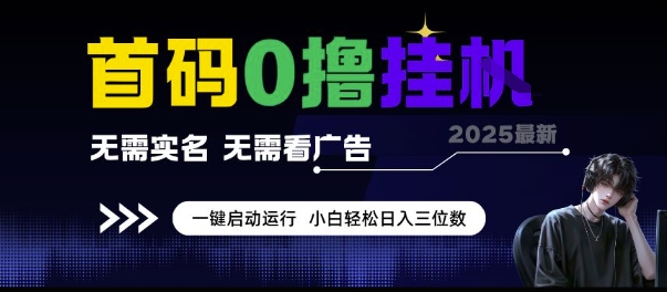 首码0撸挂G项目，无需实名无需看广告 一键启动运行，小白轻松日入三位数【揭秘】-LH资源分享网
