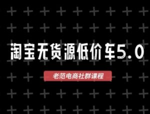 淘宝无货源2025VIP教程，​最新的淘宝无货源课程，1688代发，蓝海选品，零成本创业首选-LH资源分享网