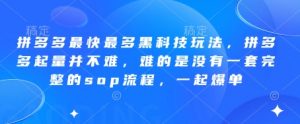 拼多多最快最多黑科技玩法,拼多多起量并不难,难的是没有一套完整的sop流程,一起爆单(更新6月)-LH资源分享网