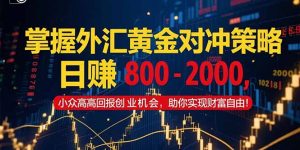 掌握外汇黄金对冲策略，日赚 800 – 2000，小众高回报创业机会，助你实…-LH资源分享网