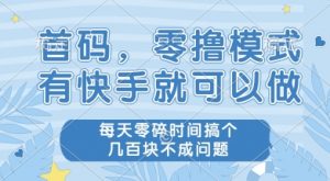 首码零撸项目，有快手就可以做，每天业务时间搞个几张不是问题【揭秘】-LH资源分享网