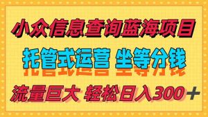 稳定日入300＋，小众信息查询蓝海项目，全程懒人式托管，解放你的时间-LH资源分享网