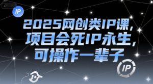 2025网创类IP课，项目会死IP永生，可操作一辈子-LH资源分享网