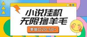 最新小说挂G自撸玩法本人实操单窗口20-50+可矩阵放大操作【揭秘】-LH资源分享网