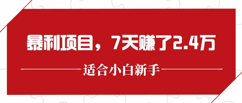 最新暴利项目，每单收益轻松在300以上，7天赚了2.4万-LH资源分享网
